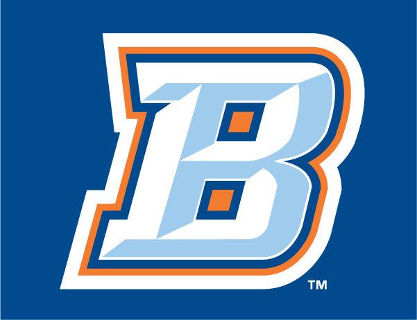 Buffalo Bisons 2009-2012 Cap Logo iron on heat transfer